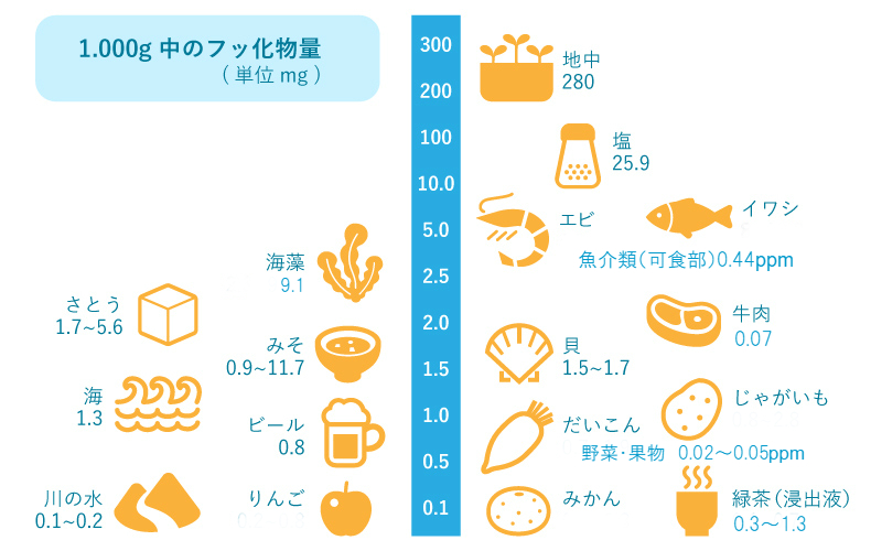 フッ素って何？