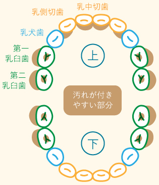 汚れがつきやすい部分