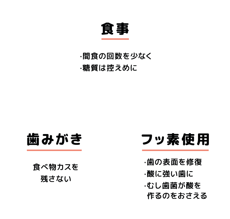 食事・歯磨き・フッ素使用